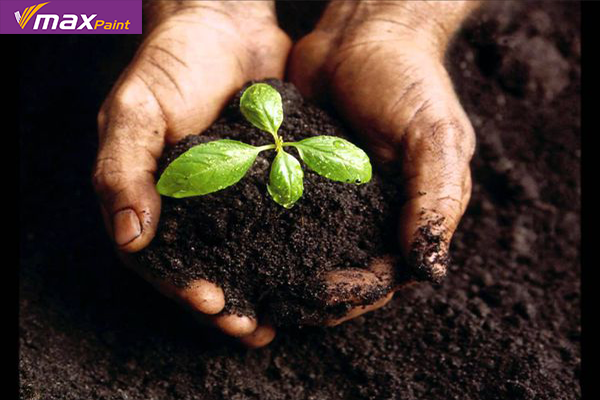 chon-mau-son-theo-phong-thuy