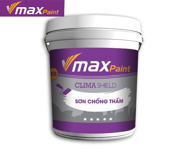 Sử dụng sơn chống thấm bảo vệ ngôi nhà bạn